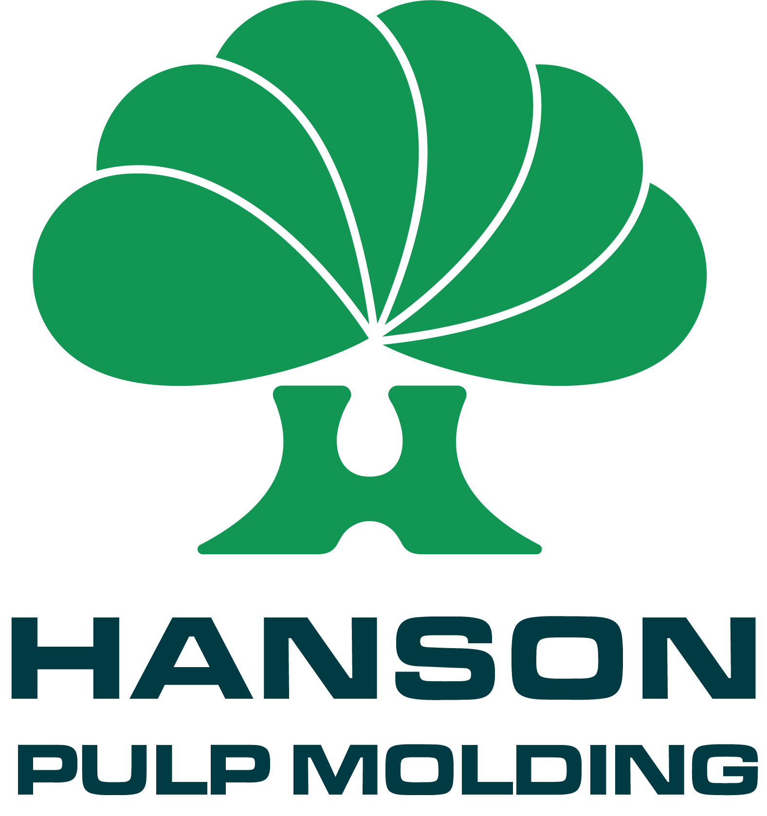 Guangdong Hanson Pulp Molding Technology Co., Ltd.