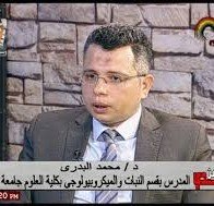 Dr. Mohamed Amin El-Badry
