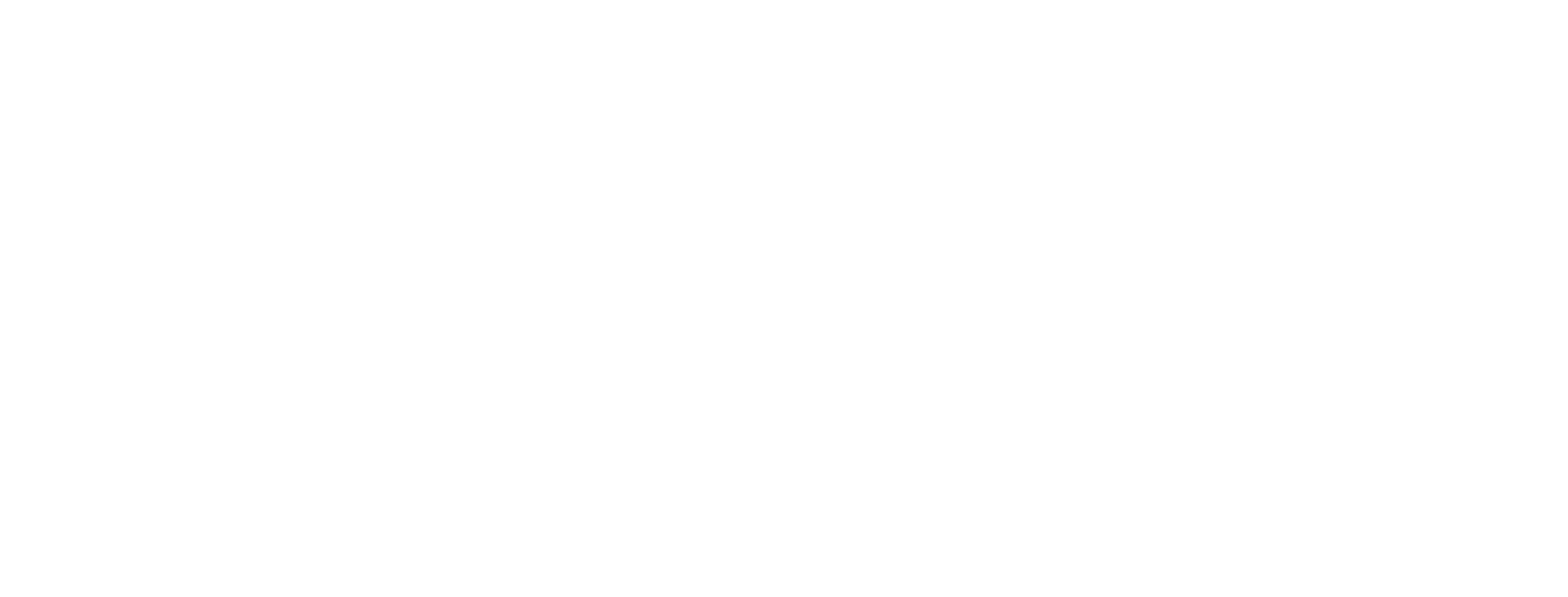 Brembo Solutions