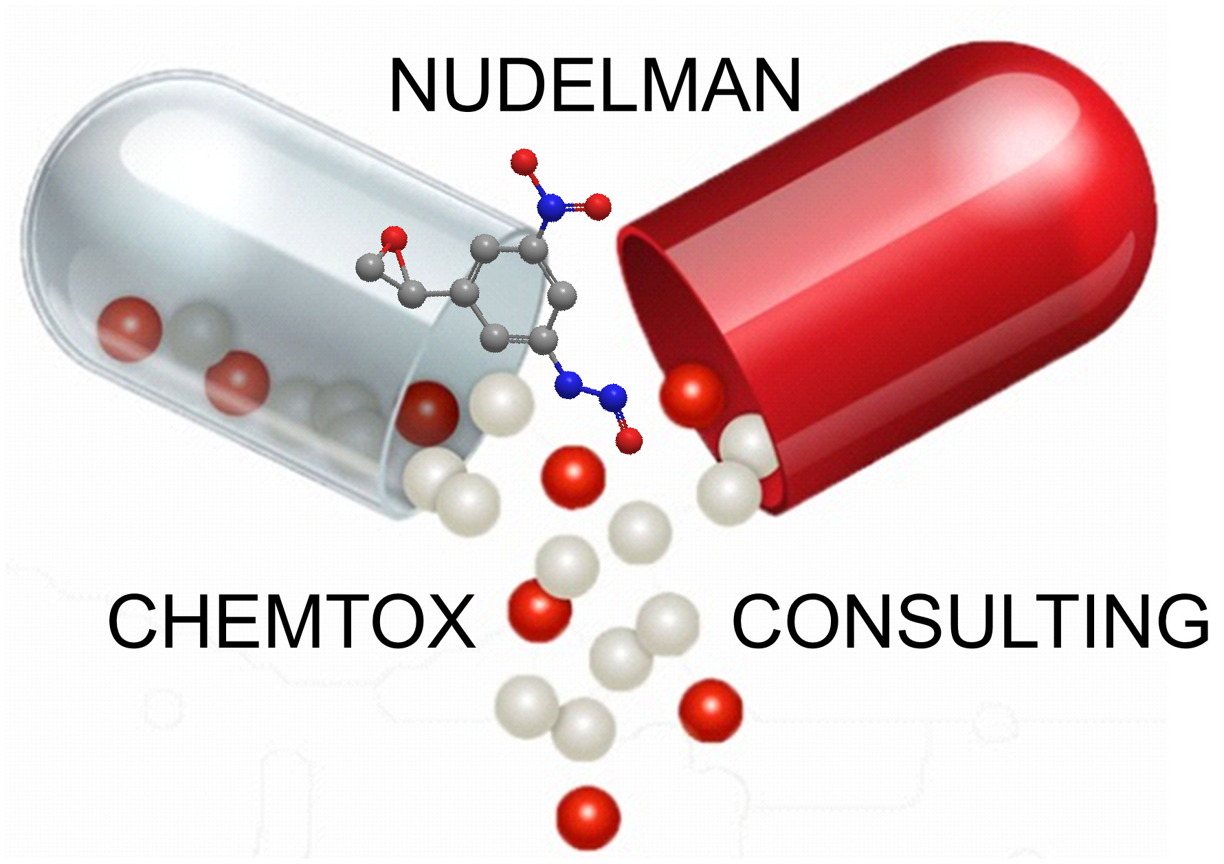 Nudelman ChemTox Consulting