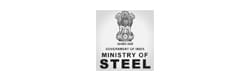 Economist Research Unit, Ministry of Steel India