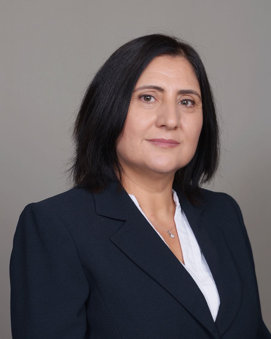 Dr. Serpil Gonen Williams - Pixelligent Technologies