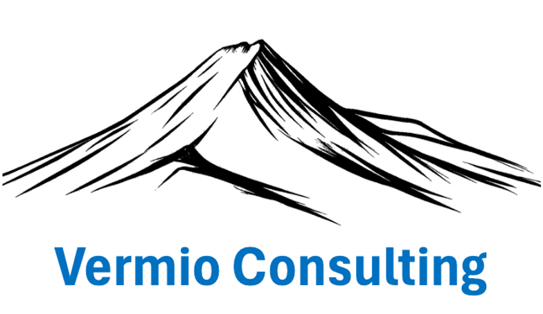 Vermio Consulting