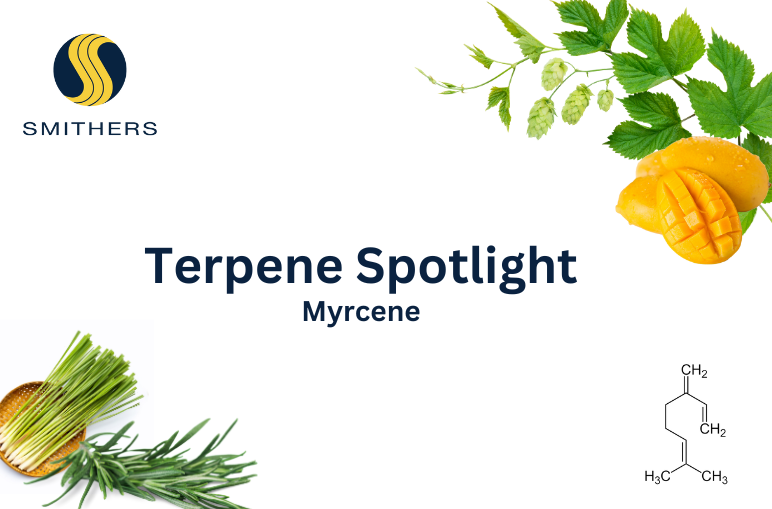 Terpene Spotlight - Myrcene - Smithers