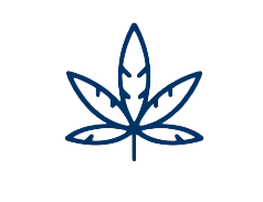 Cannabinoid Profile