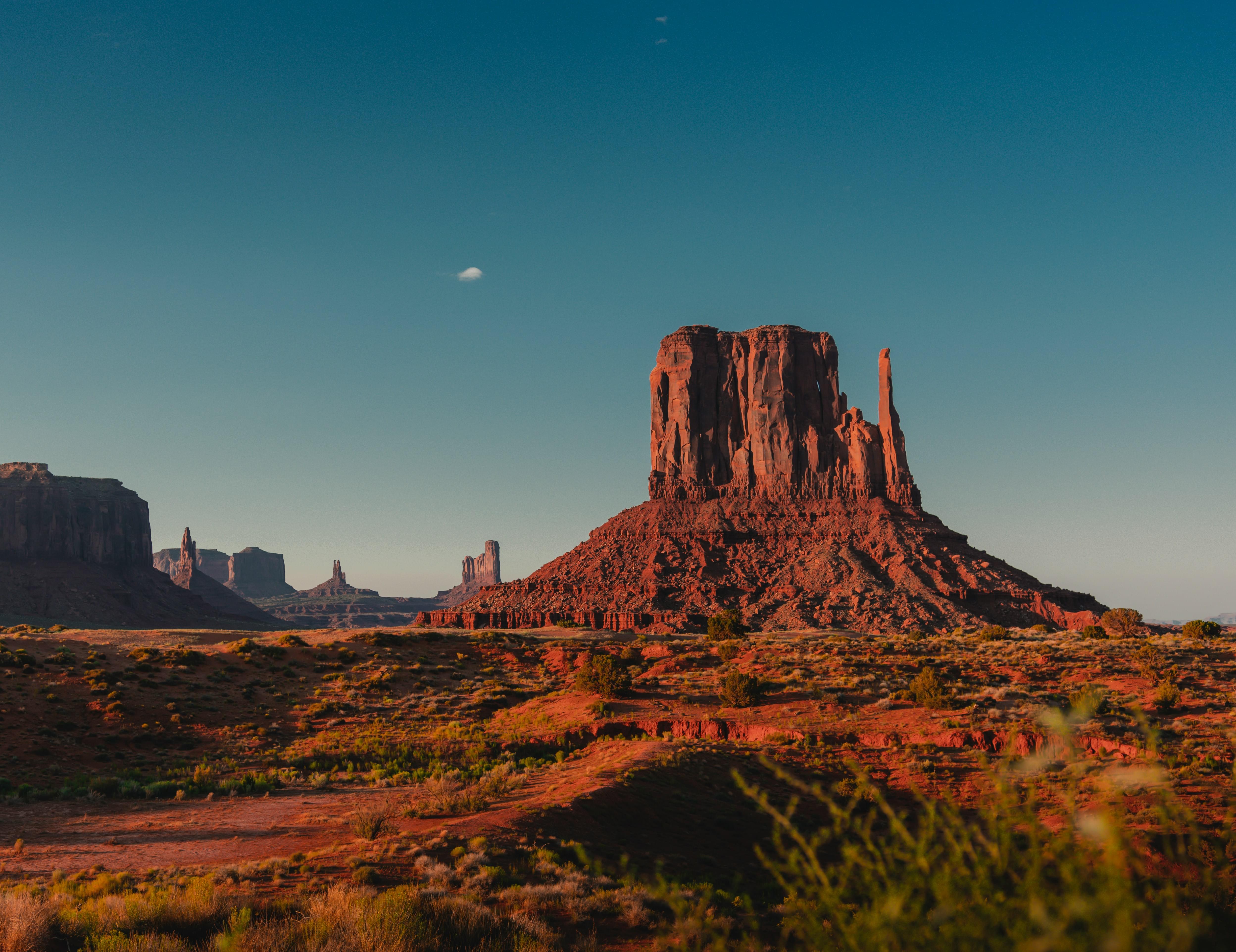 Cannabis Testing Services in Arizona
