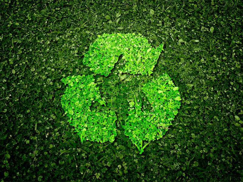 Infographic: Key Drivers in Sustainable Packaging