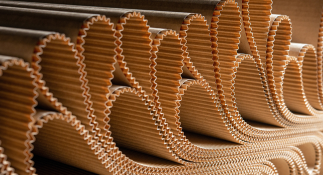 The Future of Corrugated Packaging to 2031