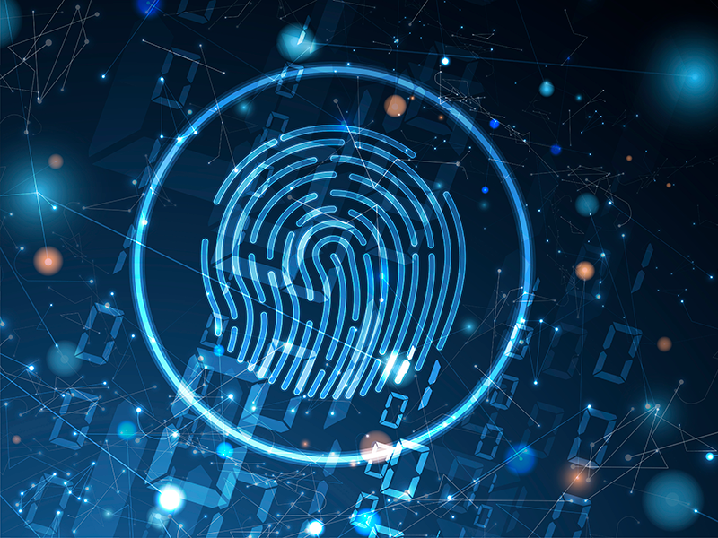The Personal ID Market: An Expert Q&A