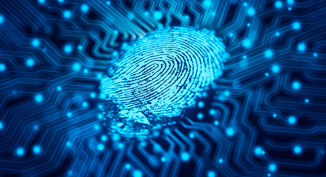 The Future of Personal ID to 2031