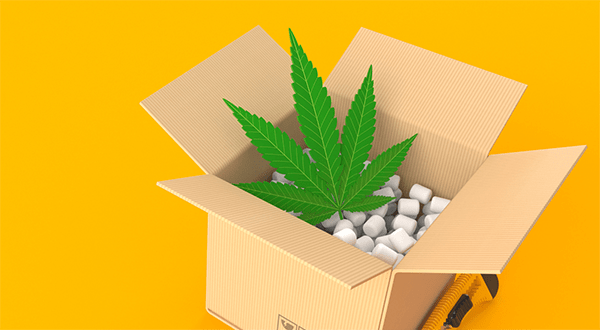 Smithers forecasts the global cannabis packaging market to reach $1.6 billion in 2024