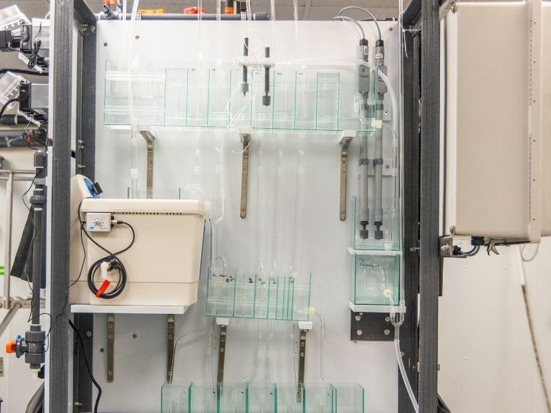 Smithers Invests in New Instrumentation to Support Ecotoxicology Studies