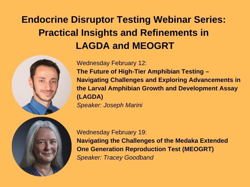 Endocrine Disruptor Testing Webinar Series: Practical Insights and Refinements in LAGDA and MEOGRT