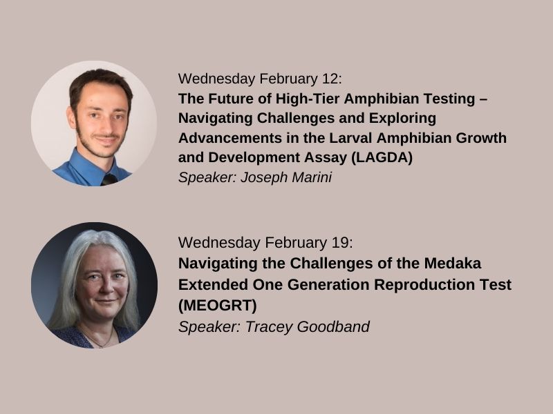 Endocrine Disruptor Testing Webinar Series: Practical Insights and Refinements in LAGDA and MEOGRT