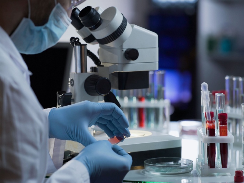 Anti Drug Antibody Sample Testing and Reporting Harmonization