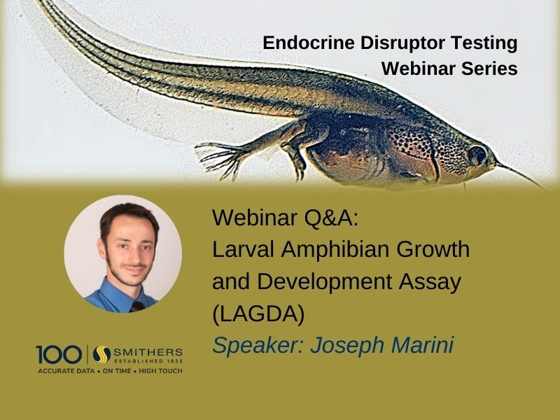 Webinar Q&A: The Future of High-Tier Amphibian Testing – Navigating Challenges and Exploring Advancements in the Larval Amphibian Growth and Development Assay (LAGDA)