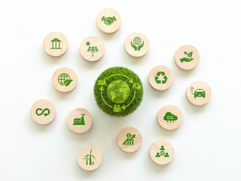 ISO 14001: Driving Sustainability Through Environmental Management