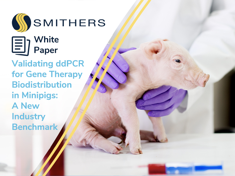 Validating ddPCR for Gene Therapy Biodistribution in Minipigs: A New Industry Benchmark