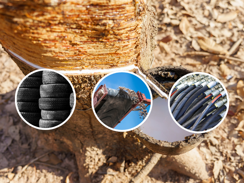Natural Rubber in Material Selection: Making Evidence-Based Elastomer Decisions