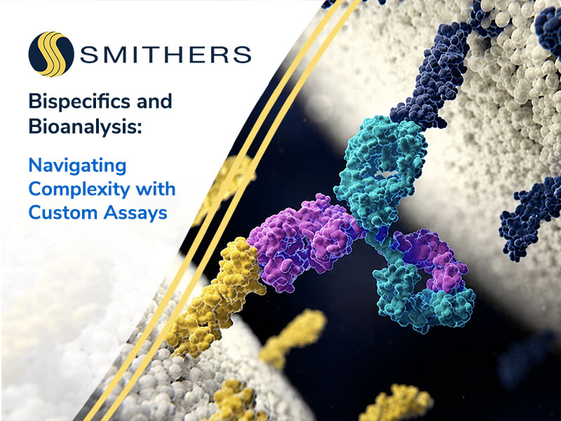 Bispecifics and Bioanalysis: Navigating Complexity with Custom Assays
