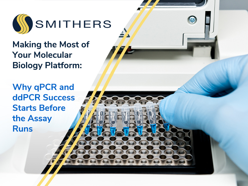 Making the Most of Your Molecular Biology Platform: Why qPCR and ddPCR Success Starts Before the Assay Runs