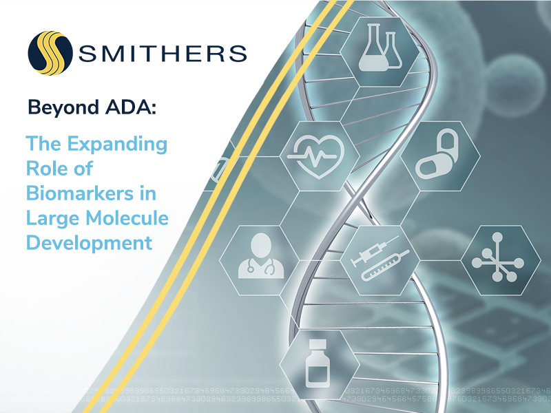 Beyond ADA: The Expanding Role of Biomarkers in Large Molecule Development