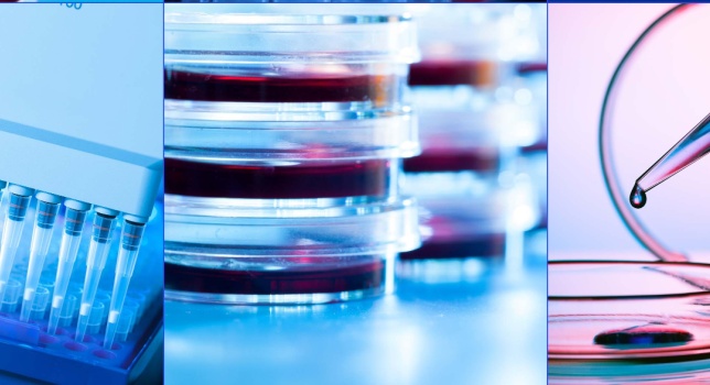 Scientific Resources