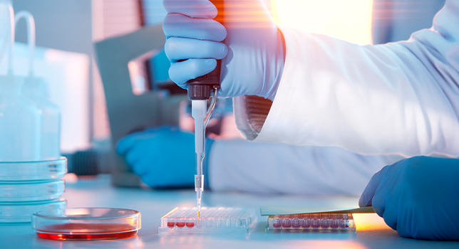 Pharmacokinetics and Toxicokinetics Testing