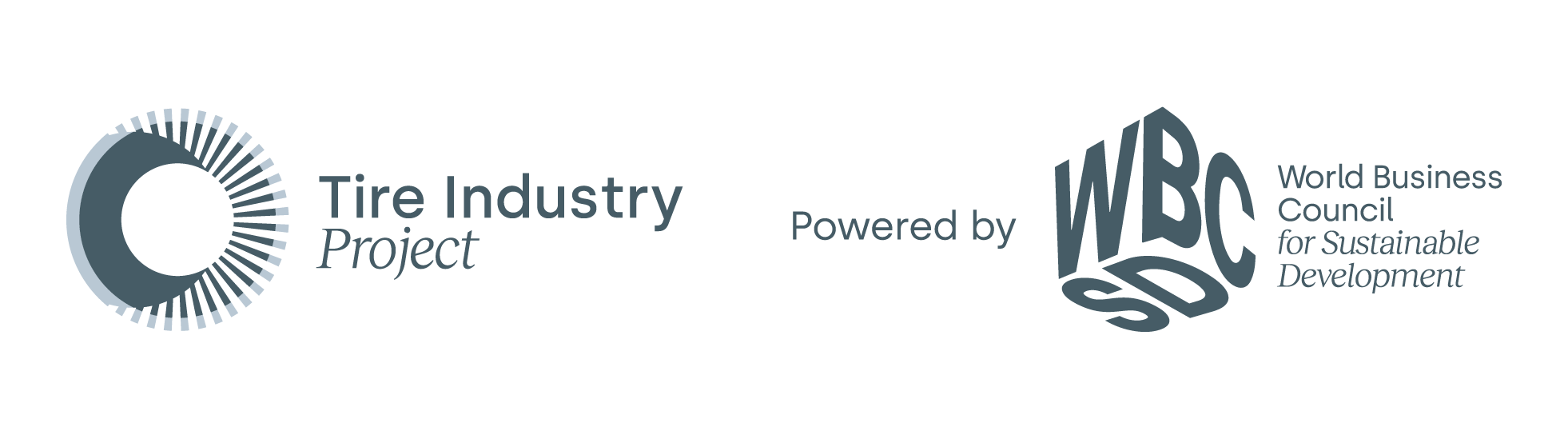 World Business Council for Sustainable Development